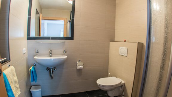 Ein modernes Badezimmer mit einem Waschbecken, WC und geräumiger Dusche. Die Wände sind hell gefliest und es gibt farbige Handtücher. - Alpenapart Saphir - Sölden