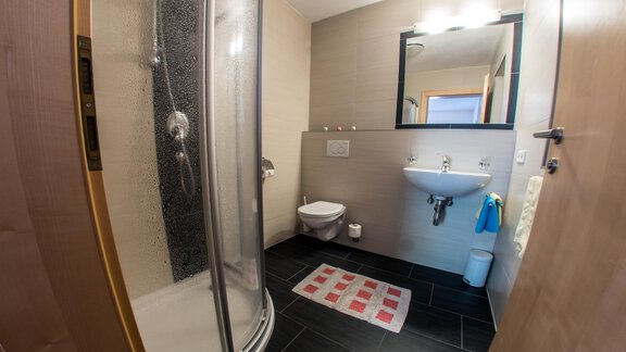 Ein modernes Badezimmer mit einer Dusche, einem Waschbecken und einer Toilette. Der Boden ist mit dunklen Fliesen und einem bunten Teppich dekoriert. - Alpenapart Saphir - Sölden