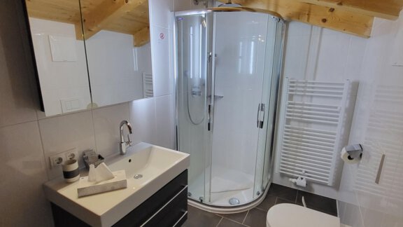 A modern bathroom with a shower, a sink, and a toilet. The ceiling is made of wood and there are large tiles on the floor. - Alpensweet - Sölden