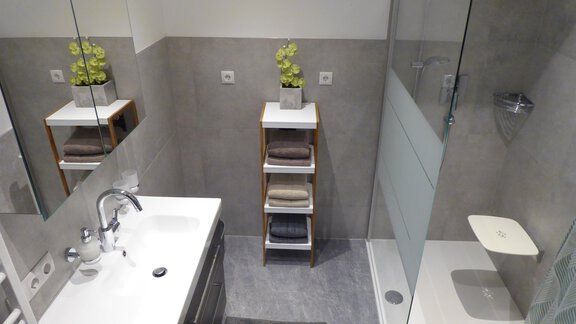 Ein modernes Badezimmer mit einer Glasdusche und einem Waschbecken. Auf einem Regal befinden sich Handtücher und eine Pflanze sorgt für einen frischen Akzent. - Apart 55 - Sölden