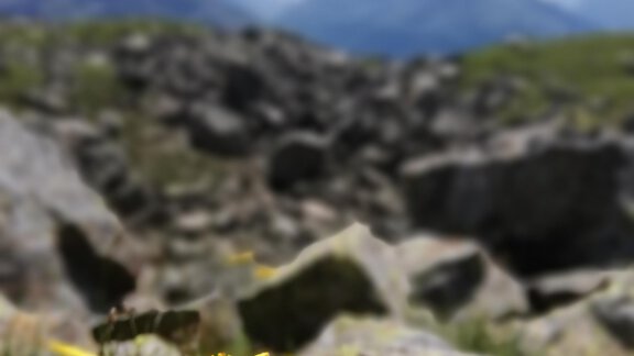 IMG_20210810_114012 - Appartement Krabacher Erich - Sölden