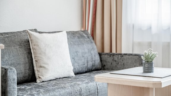 A modern living room with a gray sofa and a decorative pillow. A small plant in a pot is on the table. - Appartementhaus Kathrin - Sölden