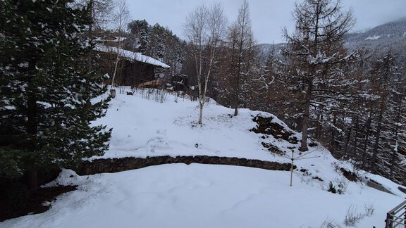 A snowy landscape with fir trees and a gray sky. In the foreground, a blanket of snow is visible. - Appt. Wildschütz - Sölden
