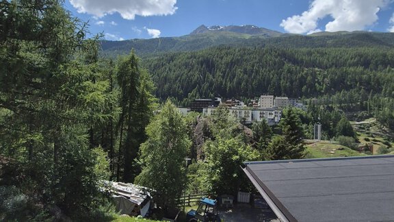 A picturesque mountain landscape with green trees and a clear sky. In the foreground, there are a staircase and the view of a house. - Appt. Wildschütz - Sölden