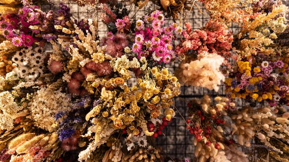Ein farbenfrohes Arrangement von Trockenblumen in verschiedenen Formen und Größen. Die Blumen sind in einem Gitter angeordnet und reichen von Gelb über Pink bis Lila. - Bäckelar Wirt - Sölden