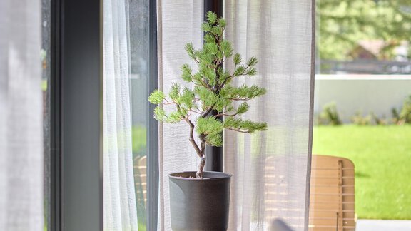 A bright room with large windows and light curtains. In the foreground, there is a pot with a plant on an elegant table. - Chalet White Pearl by MYALPS - Sölden