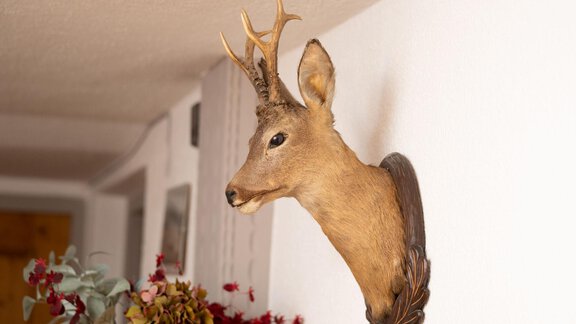 A deer head hanging on a wall, framed decoratively. In the background, various flower arrangements can be seen. - Ferienhaus Valsora - Sölden