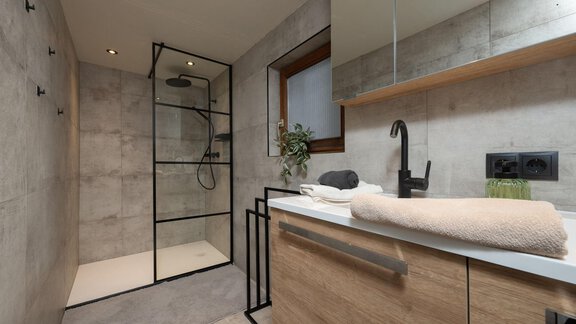 A modern bathroom with a walk-in shower and a wooden vanity. The walls are in bright shades of gray, and there are decorative plants. - Ferienhaus Valsora - Sölden