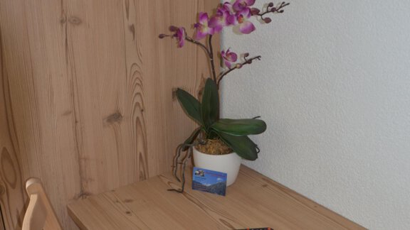 A bright wooden table with an orchid in a pot. Next to the plant lies a remote control. - Garni Columbia - Sölden
