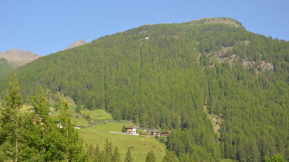A green mountain with dense forests and some alpine vegetation. In the foreground, a few small buildings are visible. - Garni Columbia - Sölden