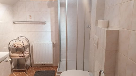 A modern bathroom with a shower, toilet, and towel rack. The walls are in light tiles, and the lighting is friendly. - Gästehaus Sternberger - Sölden