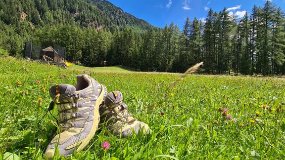A pair of hiking shoes is lying on a green meadow. In the background, trees and a blue sky with some clouds can be seen. - Gästeheim Schmiedhof - Sölden