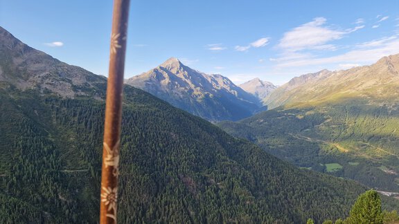 A mountainous landscape with green forests and high peaks. In the foreground stands a walking stick. - Granbichlhof - Sölden