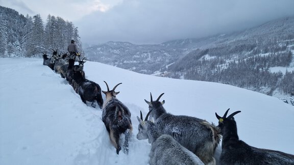 20231202_161901 - Granbichlhof - Sölden