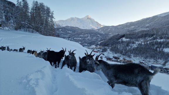 20231203_155810_006_saved - Granbichlhof - Sölden