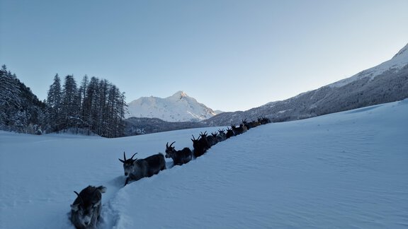 20231203_160004_056_saved - Granbichlhof - Sölden