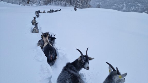 20231202_162353 - Granbichlhof - Sölden