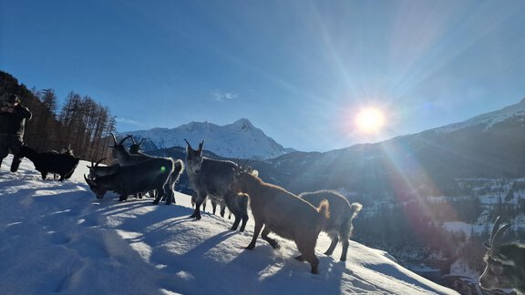 20231217_135216 - Granbichlhof - Sölden