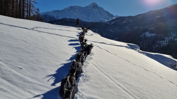 20240111_140251(0) - Granbichlhof - Sölden