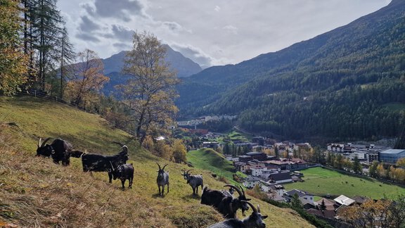 20231023_135516 - Granbichlhof - Sölden