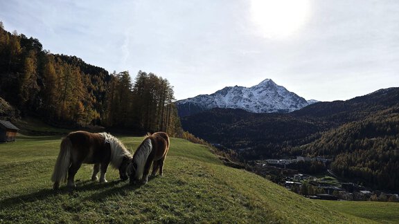 1000132978 - Granbichlhof - Sölden