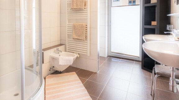 A modern bathroom with a shower, sink, and towel radiator. The floor is tiled and a rug is placed in front of the sink. - Haus Edmund - Sölden