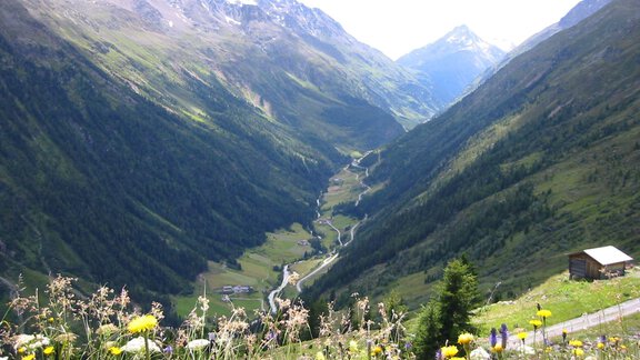 A picturesque mountain landscape with a deep valley and green meadows. In the foreground, colorful flowers are blooming, while in the background, the mountains can be seen. - Haus Erwin - Sölden