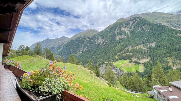 A beautiful mountain landscape with green meadows and high mountains. In the foreground, colorful flowers are blooming in a flower box. - Haus Nesselhof - Sölden