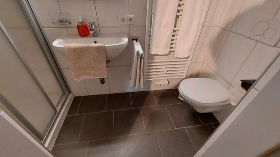 A modern bathroom with a shower, a sink, and a toilet. The walls are tiled and there are fresh towels as well as a towel radiator. - Haus Pitzwald - Sölden
