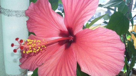 Sommer - Haus Seppl - Sölden