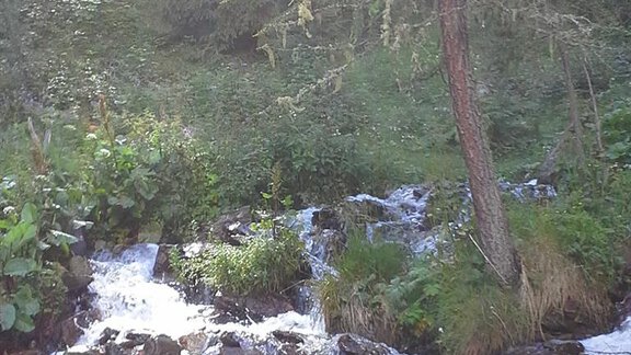 Sommer - Haus Seppl - Sölden