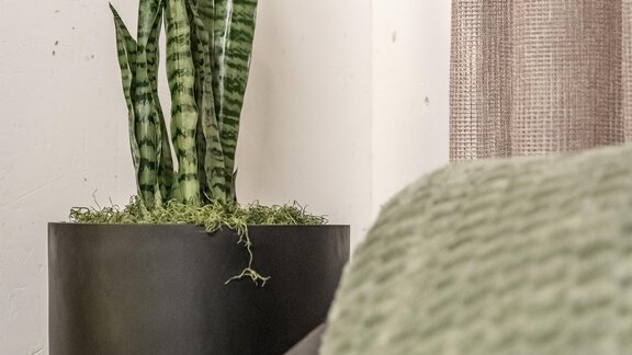 A large plant in a modern flower pot stands next to a cozy sofa. A green pillow lies on the sofa, complementing the stylish decor. - Marco's Mountain Home - Sölden