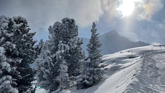 A snowy landscape with tall, snow-covered trees and a clear sky. The sun shines through the clouds and illuminates the surroundings. - Top Apart Daniela - Sölden