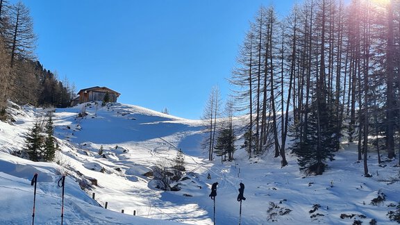 A snowy landscape with snow-covered trees and a view of a building in the background. The sky is clear and sunny. - Top Apart Daniela - Sölden