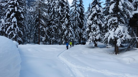 Schneeschuhwanderung Köfels - Alpengasthof Köfels - Umhausen