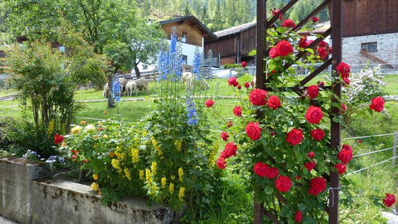beim Haus - Alpengasthof Köfels - Umhausen