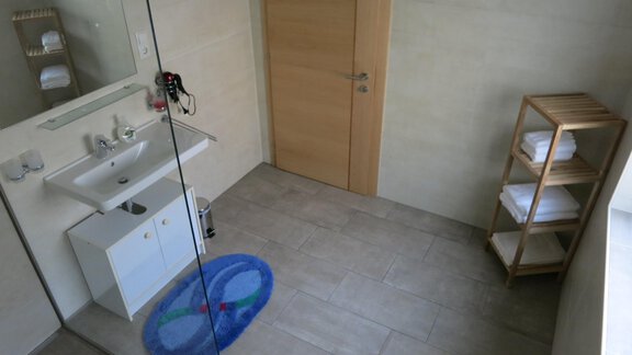 A modern bathroom with a sink and a large mirror. There is a wooden shelf with towels and a shower behind a glass wall. - Apart Martina - Umhausen