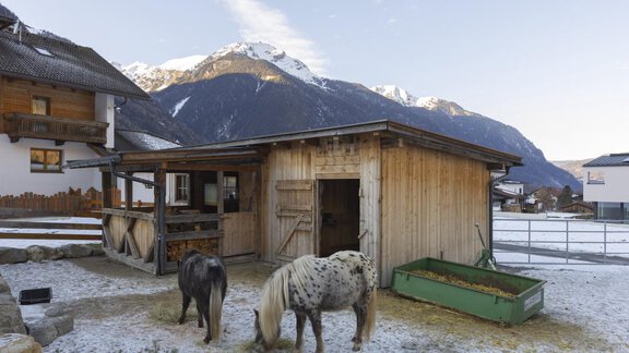 Bei Hase und Co - Ferienhaus Tirol im Ötztal - Umhausen