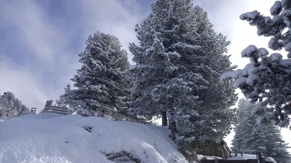  - Ferienhaus Veitelach Hof - Umhausen