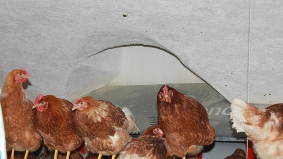  - Ferienhaus Veitelach Hof - Umhausen