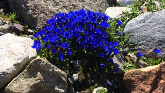 einfach nur schön - Haus Huberta - Umhausen