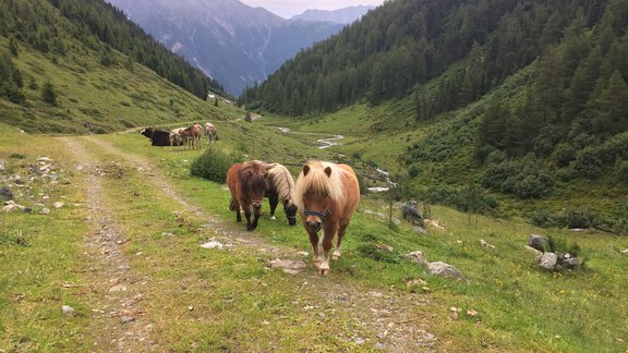 IMG_3847 - Haus Huberta - Umhausen