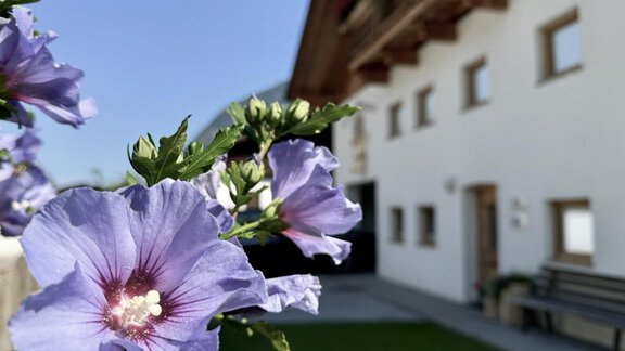 Landhaus Waldhart im Ötztal - Umhausen
