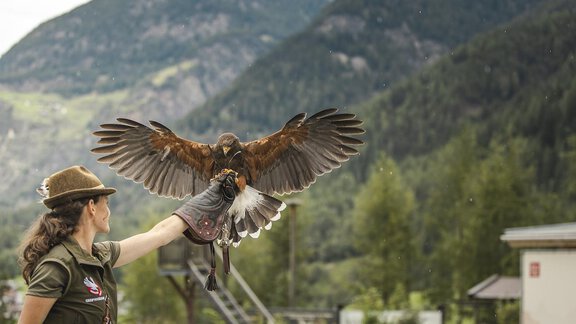 Ötztaler Greifvogelpark - 5 Gehminuten - Landhaus Waldhart - Umhausen
