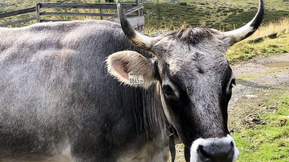 Maja - Michelas Hof 14155 - Umhausen