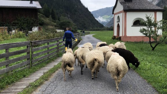 IMG_8355 - Michelas Hof 14155 - Umhausen