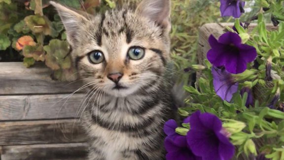 IMG_8341 - Michelas Hof - Umhausen