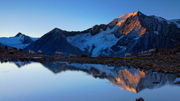 A majestic mountain landscape with snow-capped peaks and a clear lake reflecting the mountains. In the foreground, some sheep are grazing peacefully by the shore. - Hotel Vent - Vent