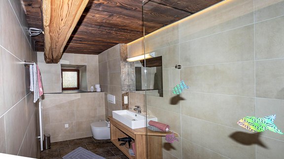 Dusche - Apart Alpin Oetztal - Haiming