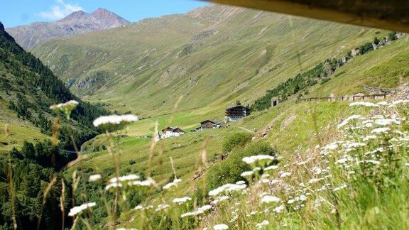 Sommer - Haus Gisela - Haiming